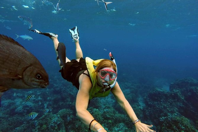 El Cielo Snorkel by Private Boat - Ceviche, fruit, beer, and margaritas on the water