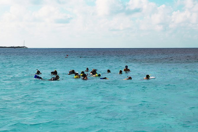 El Cielo Snorkel by Private Boat - Important health and reef rules