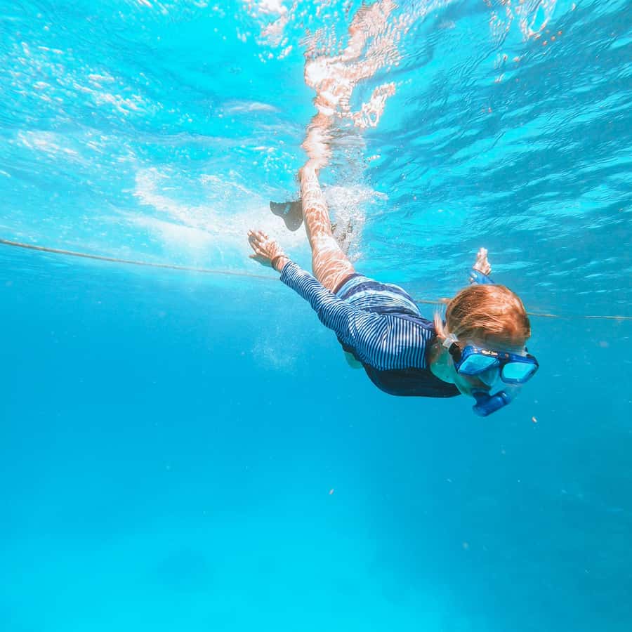 El Gouna: Red Sea Snorkeling Adventure with Transfers - Key points to know before booking