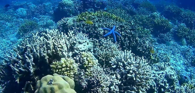 El Nido, Sibaltan: Private Snorkeling & Secret Islands Tour - What the crew adds to the day