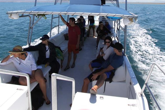 Espiritu Santo Island Snorkel & Sea Lion Adventure - The return trip includes Balandra views