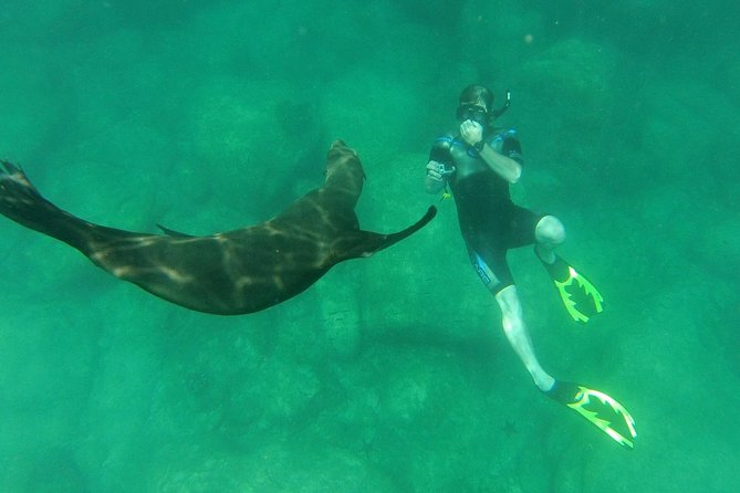 Espiritu Santo Island Snorkel & Sea Lion Adventure - Guides make a real difference