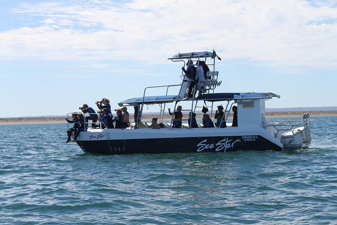 Espiritu Santo Island Snorkel & Sea Lion Adventure - What the $145 price really covers