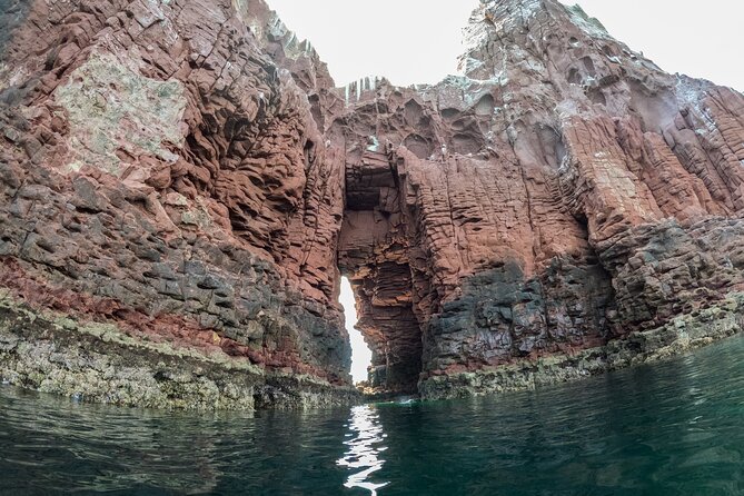 Espiritu Santo Island Snorkel & Sea Lion Adventure - Who should book this La Paz excursion