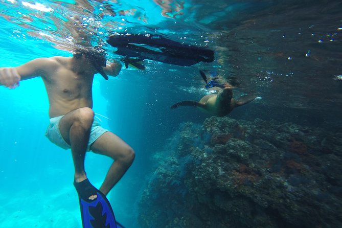 Espiritu Santo Island Snorkel & Sea Lion Adventure - Ensenada Grande brings a slower second half