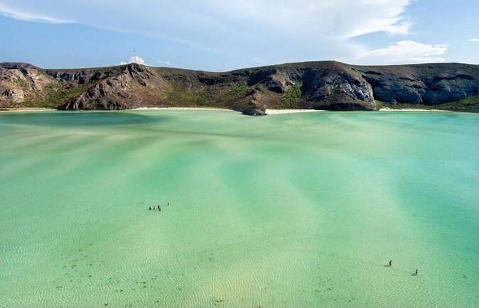 Espíritu Santo Island: snorkel SEA LIONS and Balandra Small Group - Key points before you book