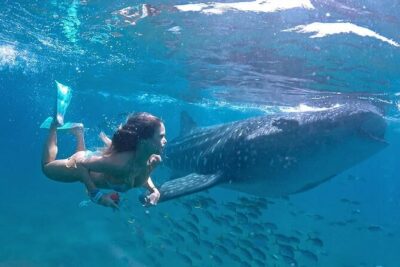 Espíritu Santo Island: snorkel SEA LIONS and Balandra Small Group