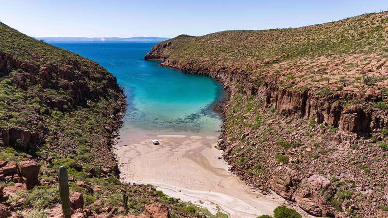 Espiritu Santo Island: Snorkeling Sea Lion Adventure - Who will enjoy this experience most?