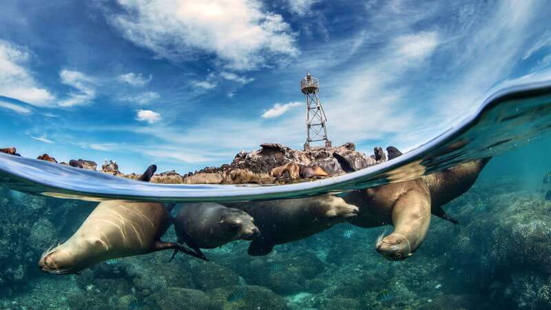 Espiritu Santo Island: Snorkeling Sea Lion Adventure - A small boat ride with a useful guide