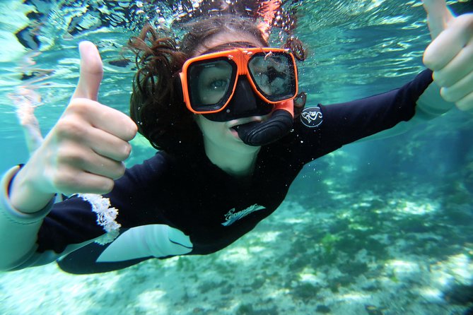 Exclusive Small Group VIP Heated Manatee Snorkel Tour - The Small-Group Difference