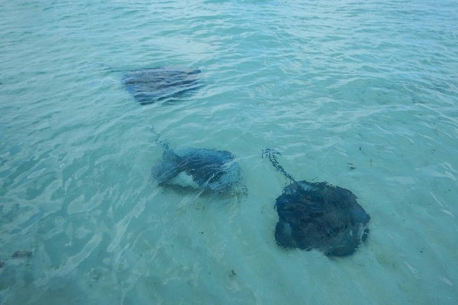 Exclusive Supreme Snorkeling Tour - The ride to Gibbs Cay