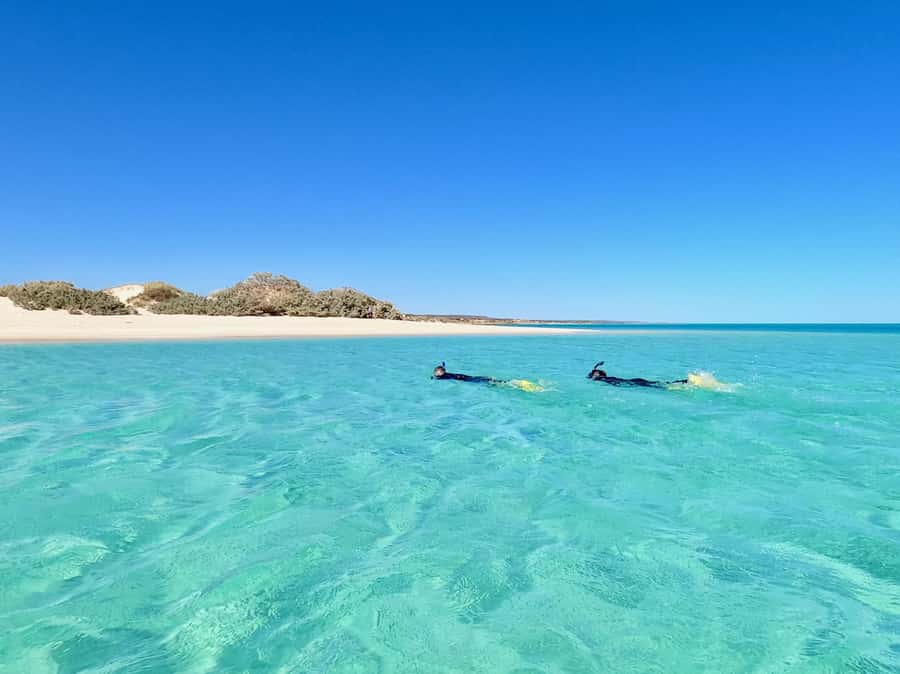 Exmouth: Guided Ningaloo Reef Snorkel Adventure - What to pack for a smoother day
