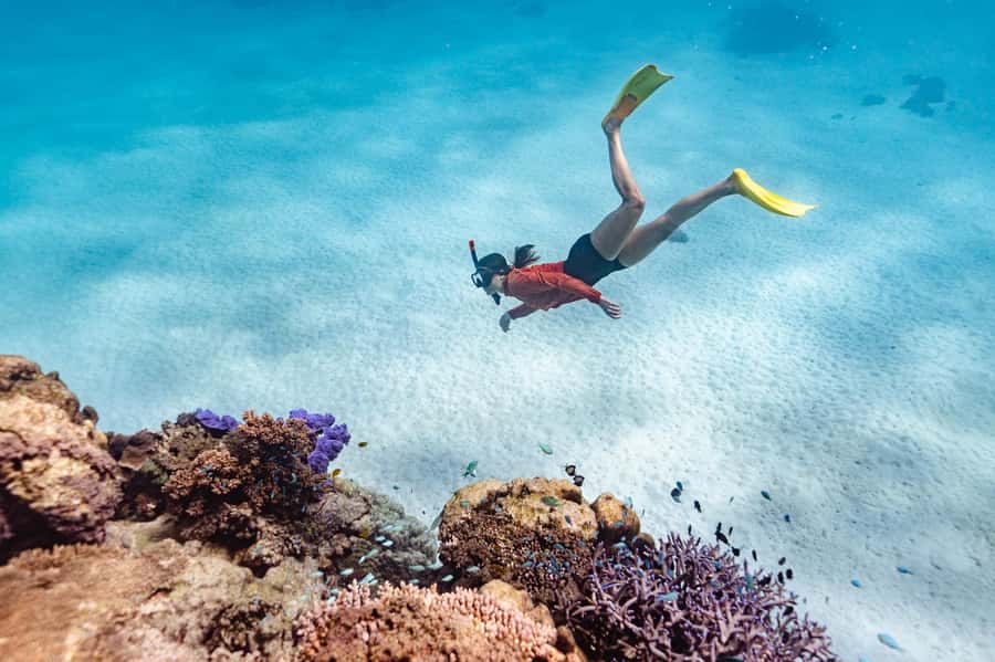 Exmouth: Guided Ningaloo Reef Snorkel Adventure - An early start from Exmouth