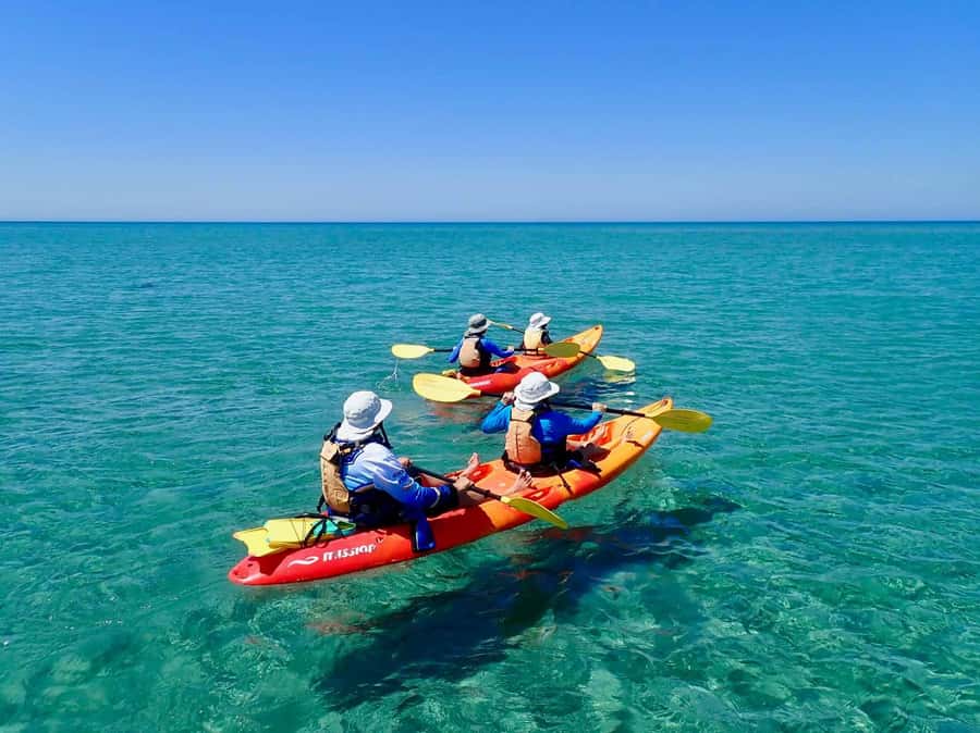 Exmouth: Half Day Turtle Kayak & Snorkel Tour - Key points at a glance