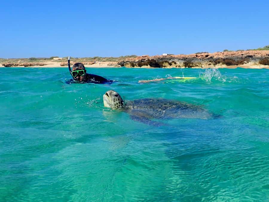 Exmouth: Half Day Turtle Kayak & Snorkel Tour - Why this half-day works so well at Ningaloo