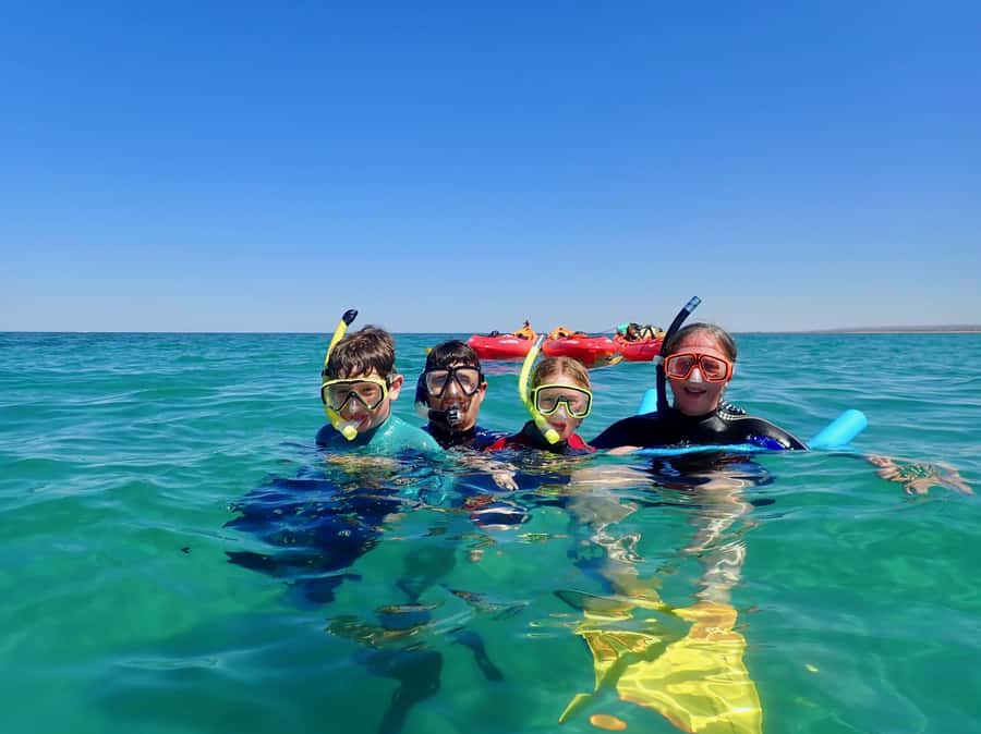Exmouth: Half Day Turtle Kayak & Snorkel Tour - Snorkeling from a kayak-only mooring