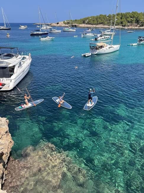 Experience Crystal paddle surf Tours + snorkel - Key points at a glance