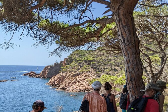 Explore Costa Brava & Tossa de Mar Coastal Trails, Snorkel & Meal - How demanding is the day?
