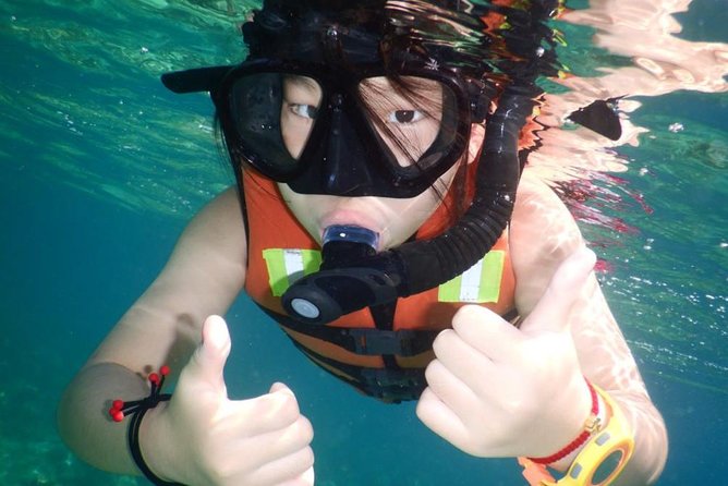Explore Nha Trang Bay: Half-Day Snorkeling Adventure Tour - The $40 Value Question