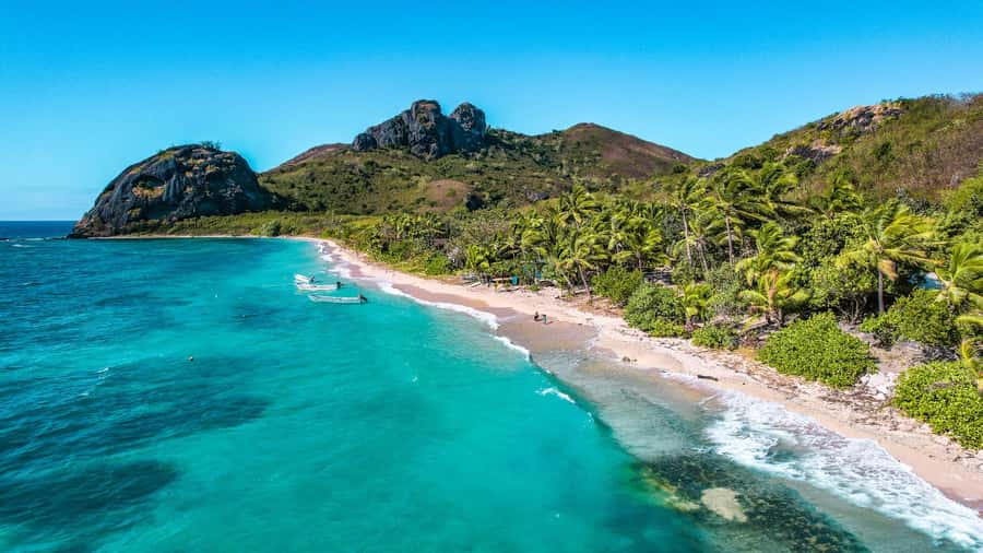 Fiji: Ultimate Encounters Snorkel with Sharks and Lunch - Who will enjoy this Fiji shark trip most?