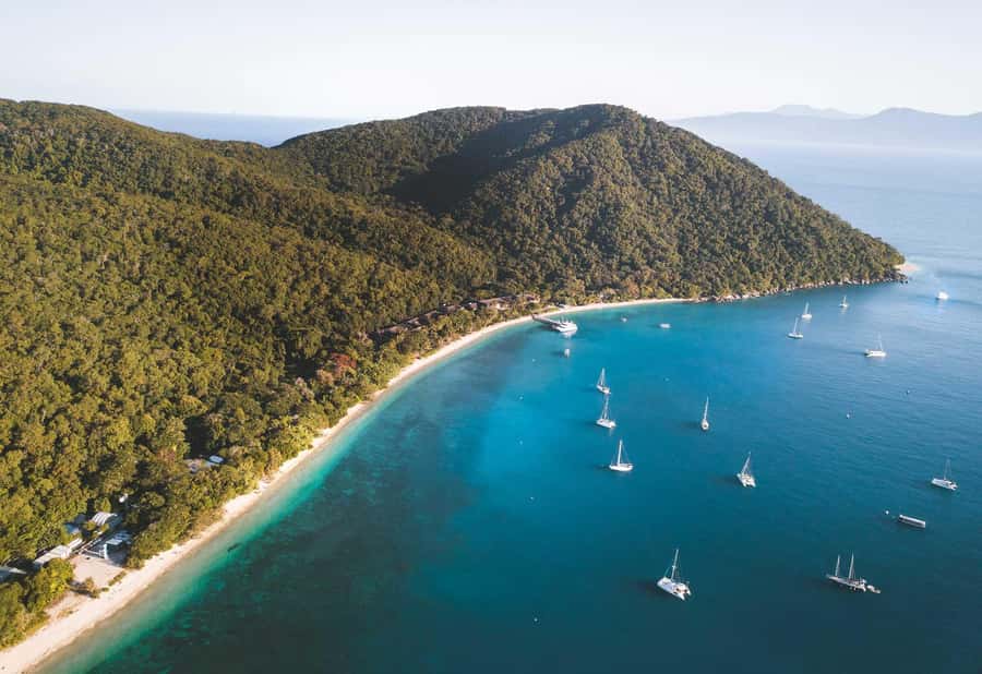 Fitzroy Island: Full-Day Ferry & Snorkel Safari Guided Tour - Key points to know before you go