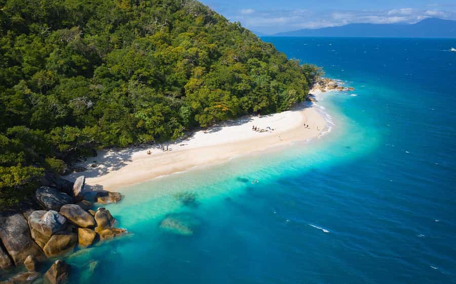 Fitzroy Island: Full-Day Ferry & Snorkel Safari Guided Tour - What the $118 Fitzroy Island day actually includes