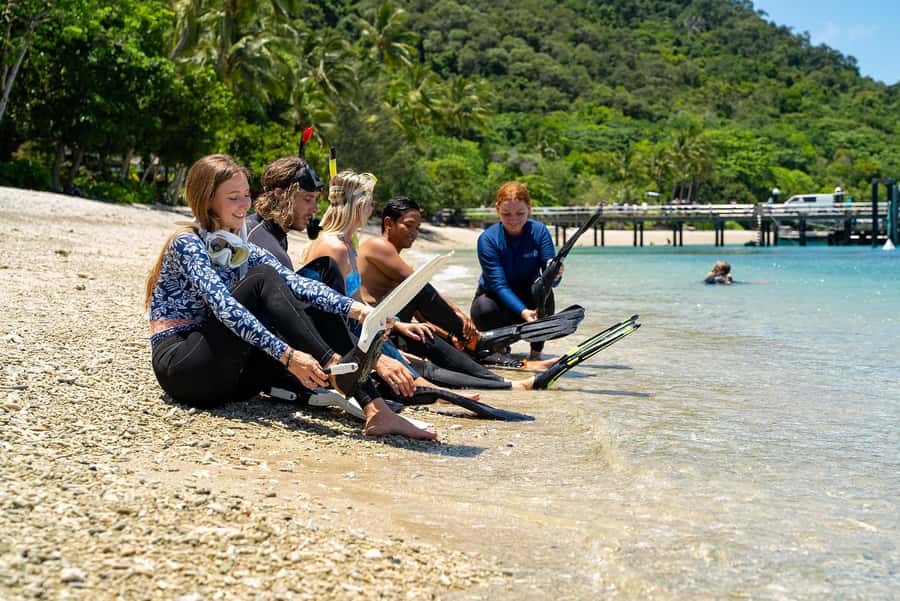 Fitzroy Island: Full-Day Ferry & Snorkel Safari Guided Tour - What the mixed feedback means for you