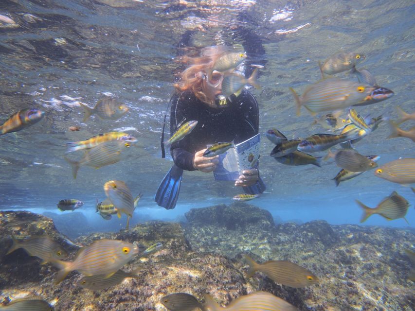 Flamingo Beach: Guided SUP and Snorkeling experience - Learning SUP without feeling rushed