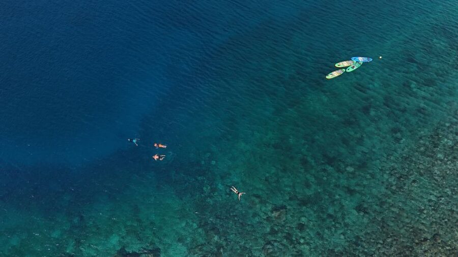 Flamingo Beach: Guided SUP and Snorkeling experience - Snorkeling with a guide who names the fish