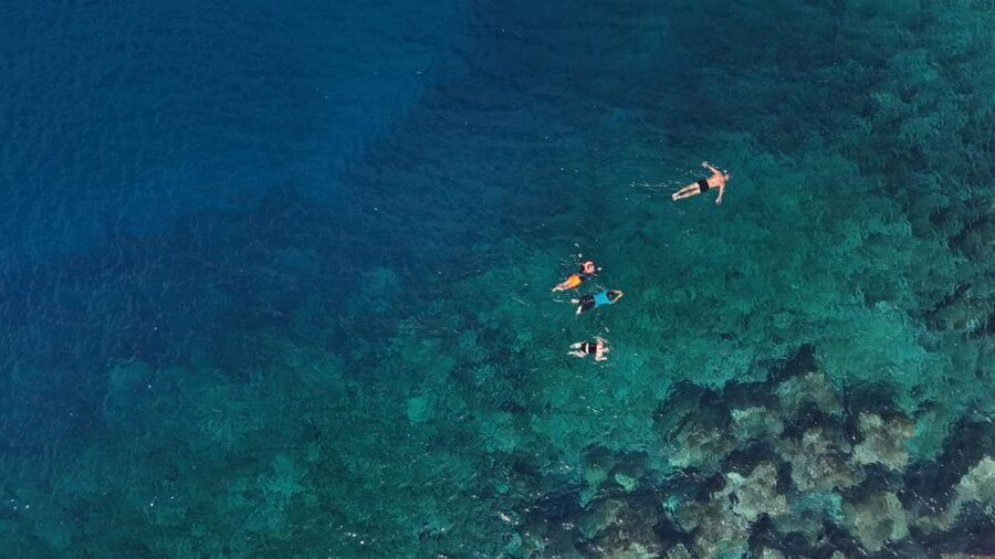 Flamingo Beach: Guided SUP and Snorkeling experience - Who will enjoy this Playa Blanca activity?