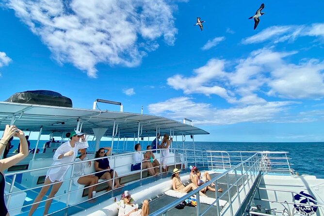 Flamingo Family Fun Catamaran Snorkel:Comfortable shaded seating - The snorkeling stop: pleasant, but keep expectations in check
