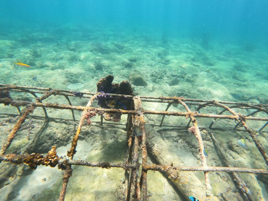 Fort Lauderdale: Guided Snorkeling Reef Tour and Lesson - The short lesson before entering the water