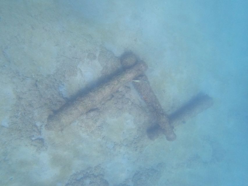 Fort Lauderdale: Guided Snorkeling Reef Tour and Lesson - What you may see below the surface