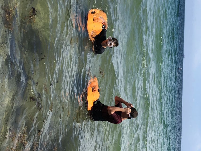 Fort Lauderdale: Ultimate SEABOB Snorkel Rental & Excursion - Key points to know before booking