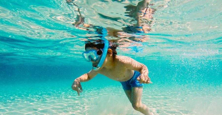 Fort Walton Beach: Morning Dolphin Cruise with Snorkel Stop - Returning slowly with the dolphins