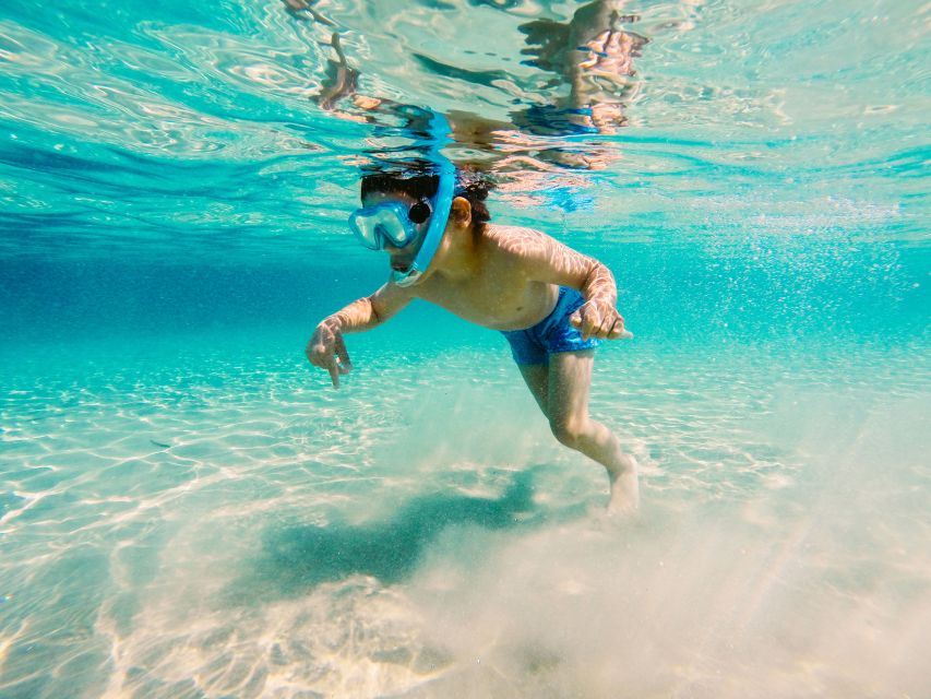 Fort Walton Beach: Morning Dolphin Cruise with Snorkel Stop - The snorkel stop and what you may find below