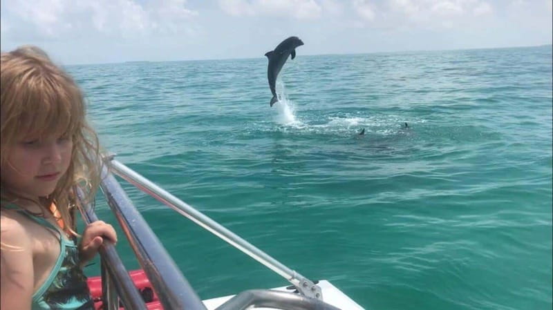 Fort Walton: Dolphin Discovery and Snorkeling Cruise - Should you book it?