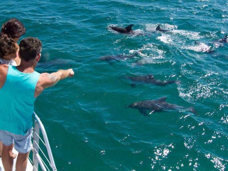 Fort Walton: Dolphin Discovery and Snorkeling Cruise - Practical tips for a better day on the Gulf