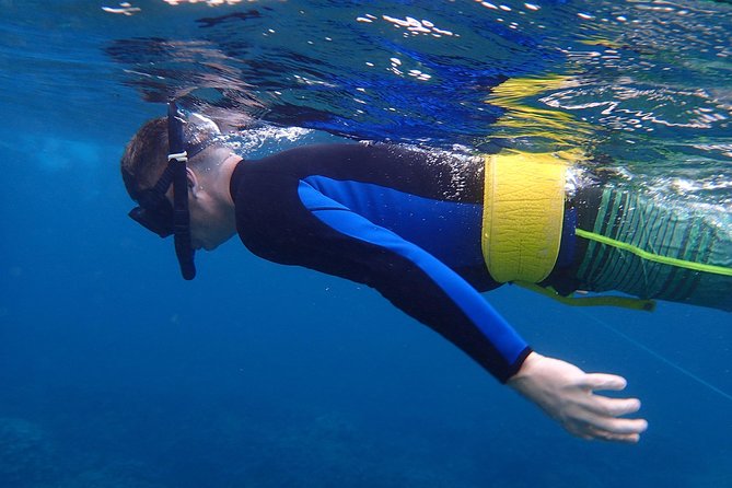 Four Winds Molokini Snorkeling Tour from Maalaea Harbor - Reaching Molokini from Maalaea Harbor