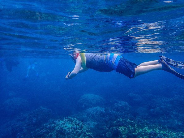 Four Winds Molokini Snorkeling Tour from Maalaea Harbor - Food, drinks, and comfort aboard