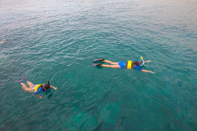 Four Winds Molokini Snorkeling Tour from Maalaea Harbor - Optional SNUBA and photography