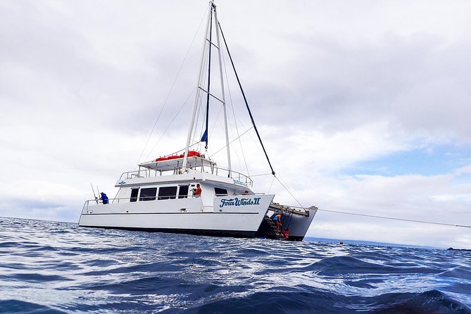 Four Winds Molokini Snorkeling Tour from Maalaea Harbor - Molokini Crater, the main reason to book