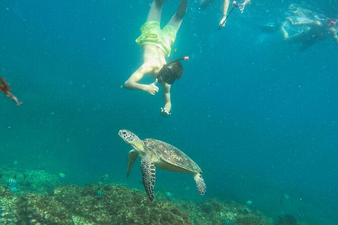 From Abu Dhabi: Snorkeling with Turtles in Fujairah with BBQ - The three-hour road journey from Abu Dhabi
