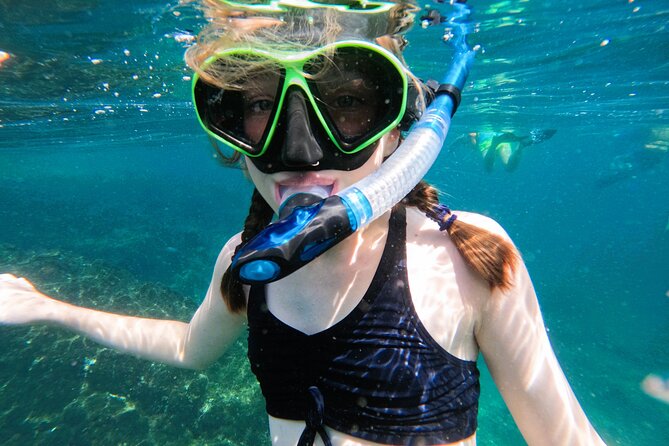 From Abu Dhabi: Snorkeling with Turtles in Fujairah with BBQ - BBQ lunch at Reef Oasis Dive Center