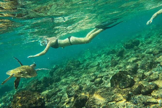 From Abu Dhabi: Snorkeling with Turtles in Fujairah with BBQ - Khorfakkan Waterfall and Amphitheatre on the return
