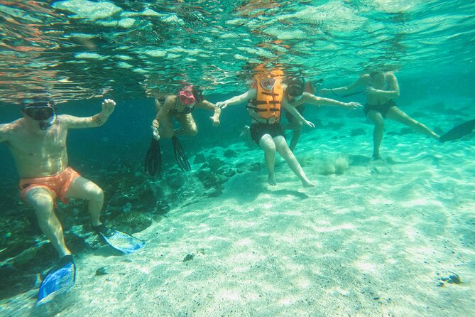 From Abu Dhabi: Snorkeling with Turtles in Fujairah with BBQ - Who will enjoy this trip most