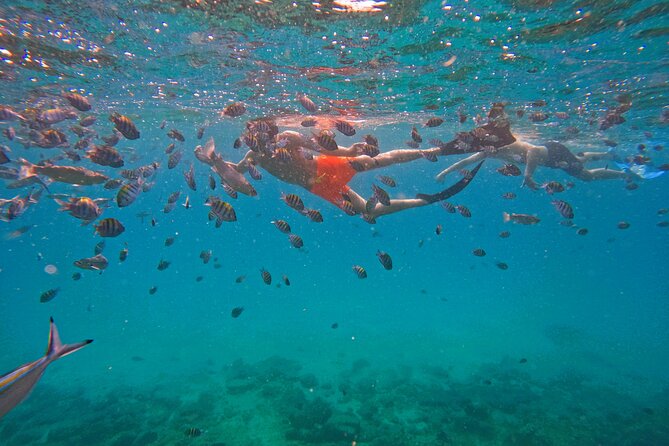 From Abu Dhabi: Snorkeling with Turtles in Fujairah with BBQ - What to pack for a smoother day