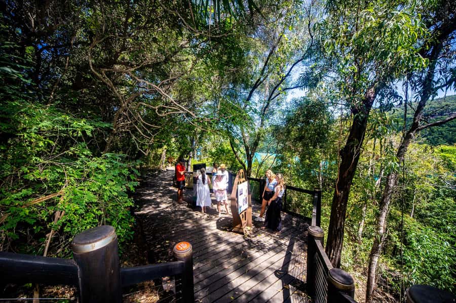 From Airlie Beach: Hook Island Cultural Tour, Sail & Snorkel - Practical tips for a smoother day