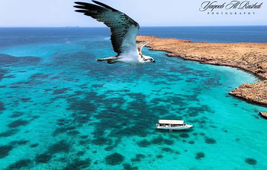 From Al-Seeb: Dimaniyat Islands Boat Trip with Snorkeling - The second stop changes the mood
