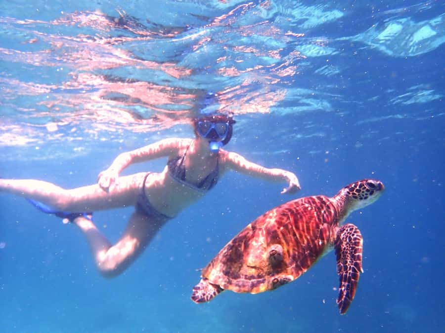 From Al-Seeb: Dimaniyat Islands Boat Trip with Snorkeling - Is $85 good value?